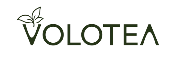 Volotea Fashion